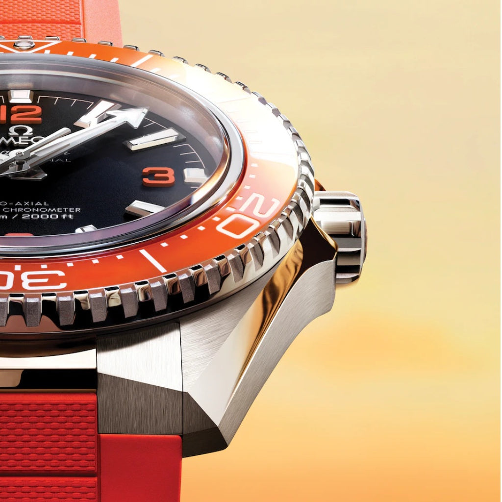 Seamaster Planet Ocean 600M