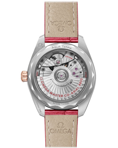 Seamaster Aqua Terra 150M