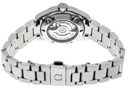 Seamaster Aqua Terra 150M