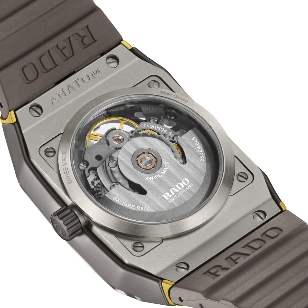 Anatom Automatic Skeleton