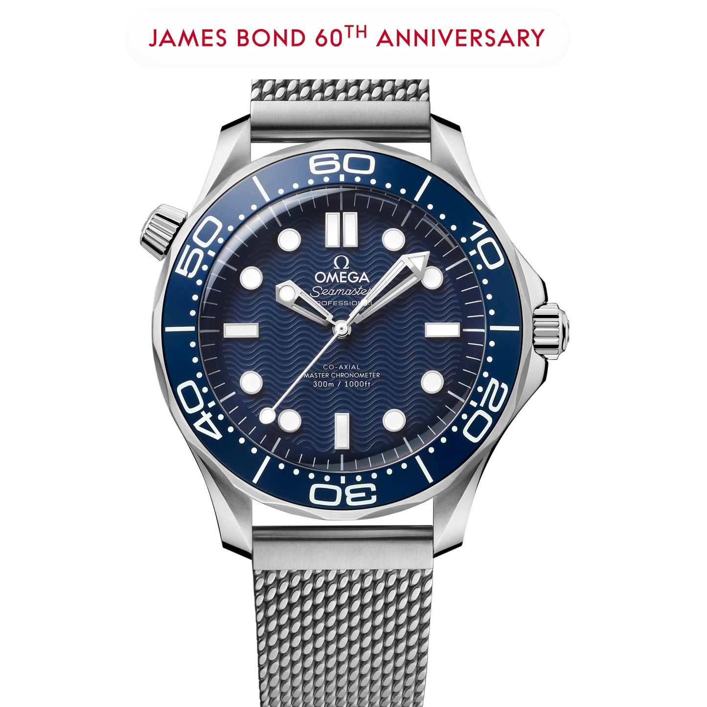 Seamaster Diver 300M