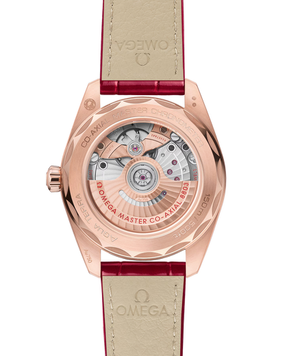 Seamaster Aqua Terra 150M
