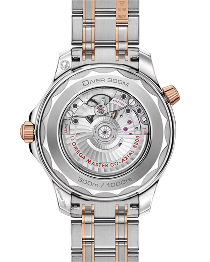 Seamaster Diver 300M