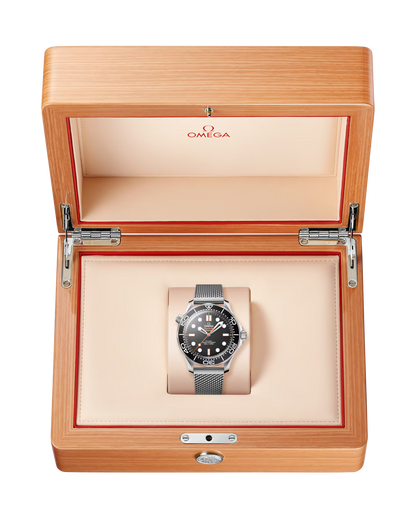 Seamaster Diver 300M
