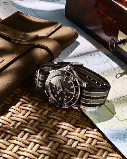 Seamaster Diver 300M