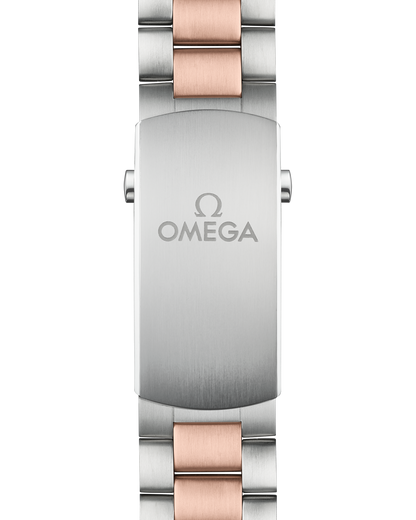 Seamaster Planet Ocean 600m