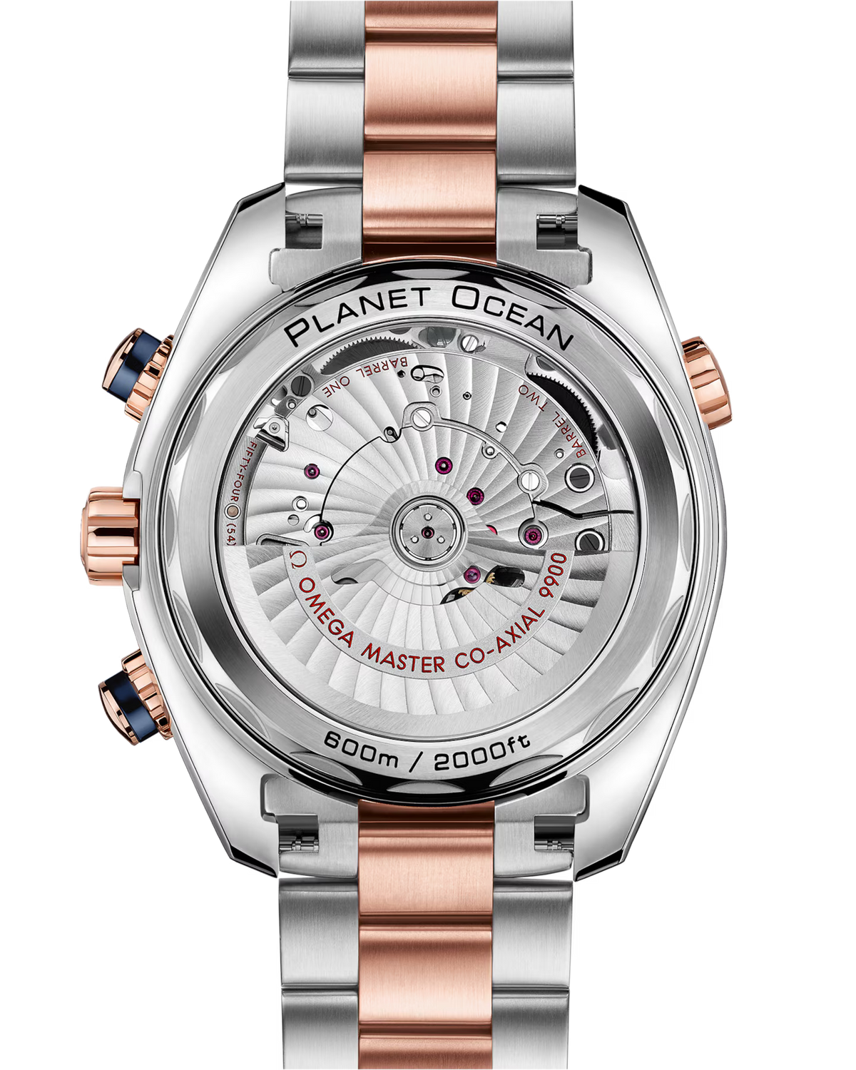 Seamaster Planet Ocean 600m