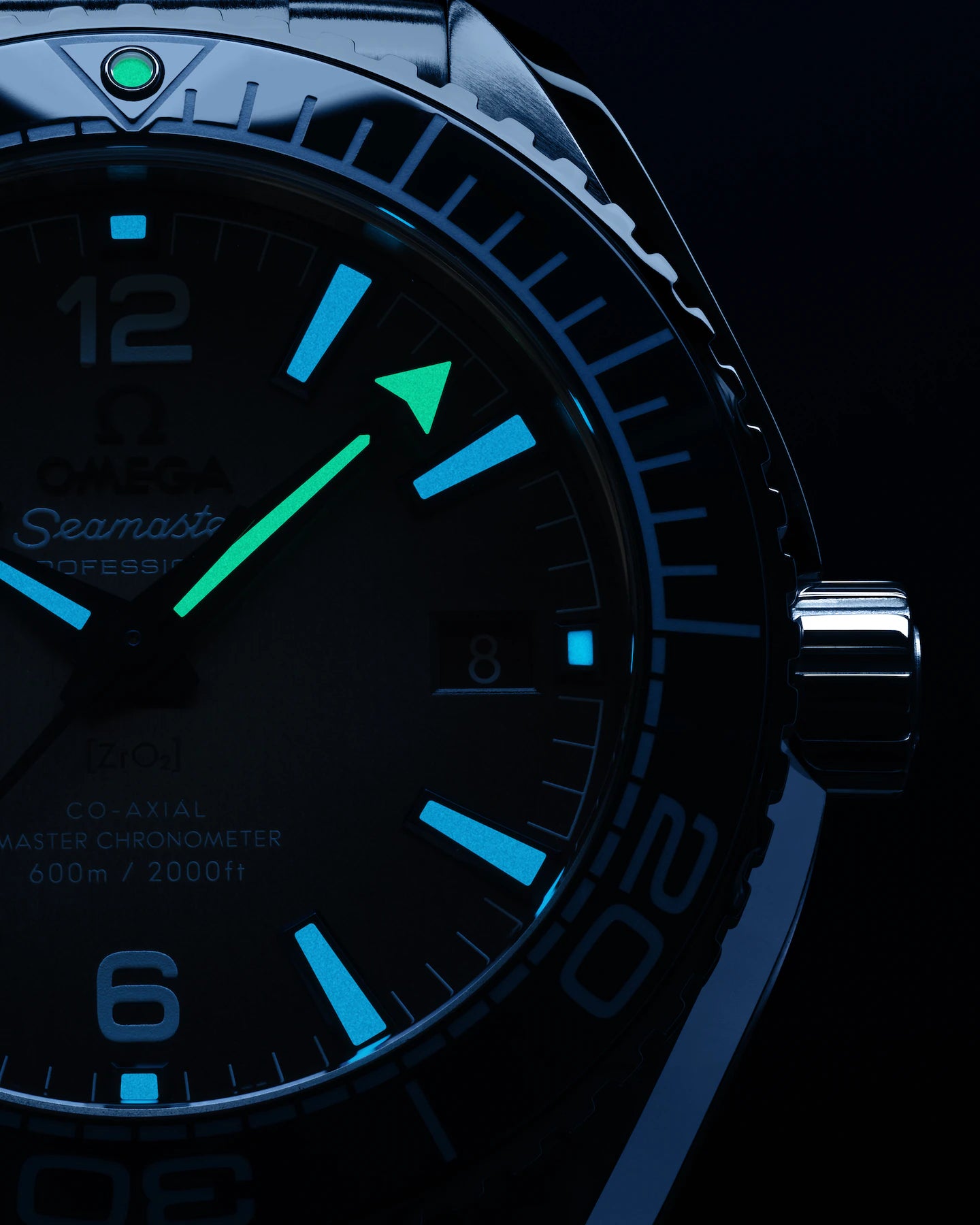 Seamaster Planet Ocean 600M