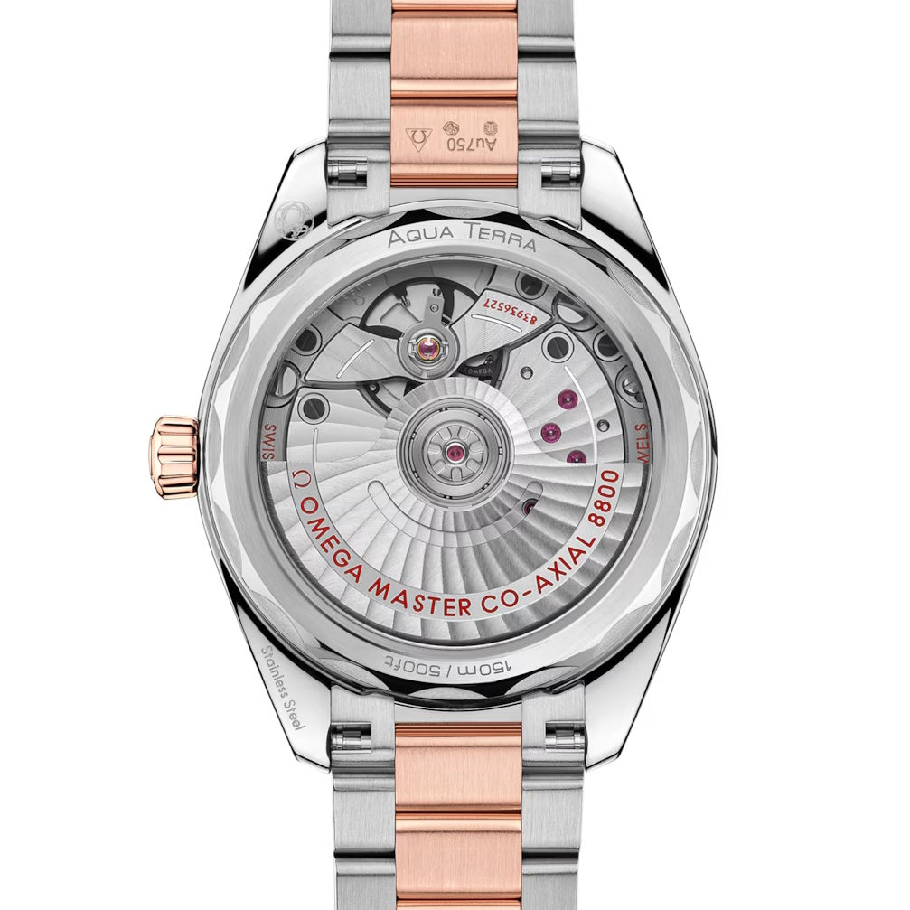 Seamaster Aqua Terra Shades
