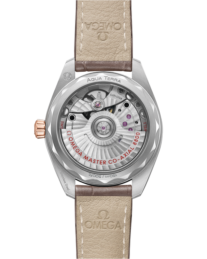 Seamaster Aqua Terra 150M
