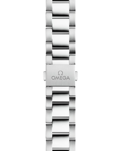 Seamaster Aqua Terra 150M