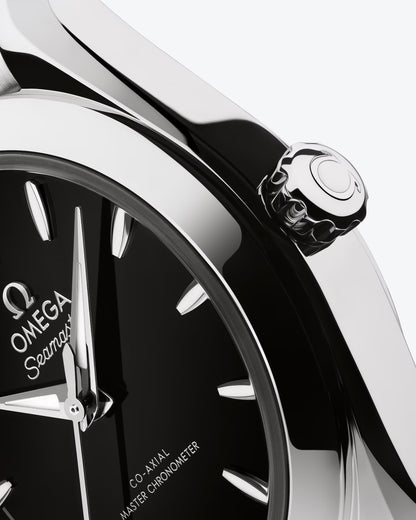 Seamaster Aqua Terra 150M
