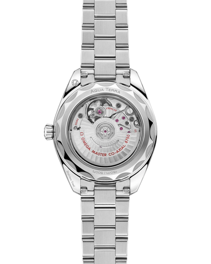 Seamaster Aqua Terra 150M