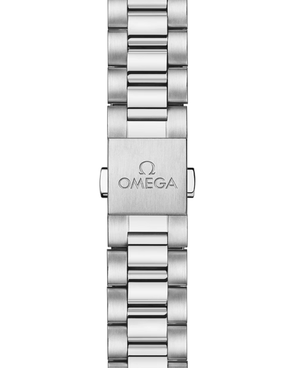 Seamaster Aqua Terra Shades