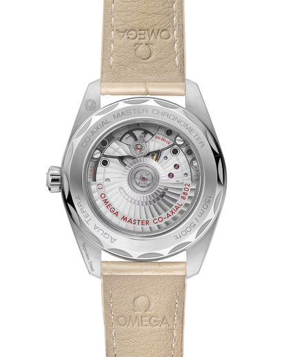 Seamaster Aqua Terra 150M
