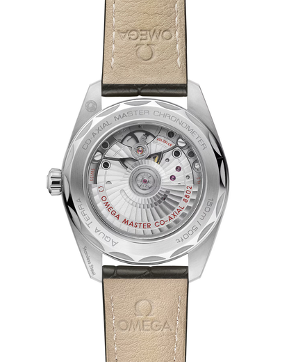 Seamaster Aqua Terra 150M