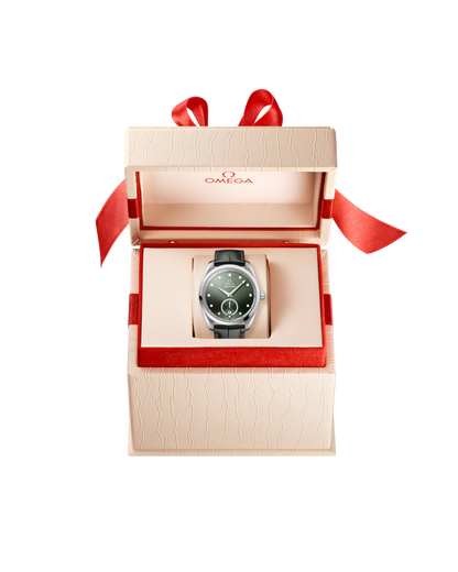 Seamaster Aqua Terra 150M