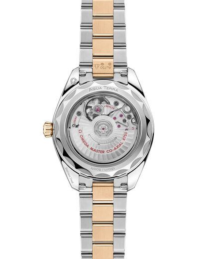 Seamaster Aqua Terra 150M