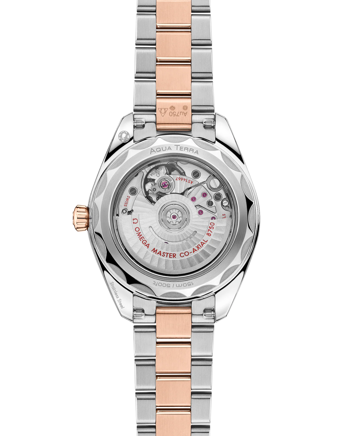 Aqua Terra 150M