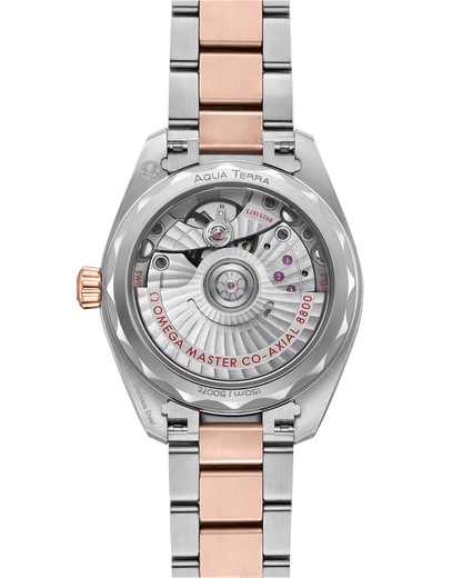 Seamaster Aqua Terra 150M