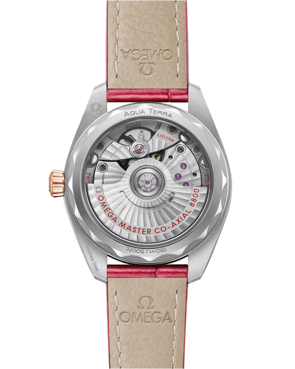 Seamaster Aqua Terra 150M