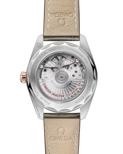 Seamaster Aqua Terra 150M