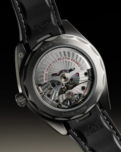 Seamaster Aqua Terra 150M