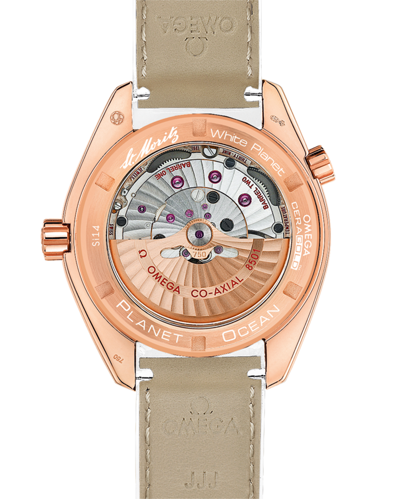 Seamaster Planet Ocean 600M