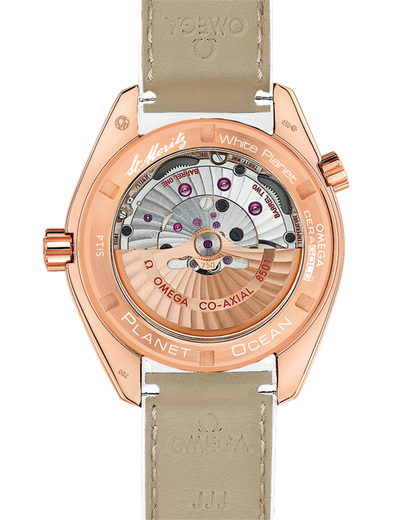 Seamaster Planet Ocean 600M