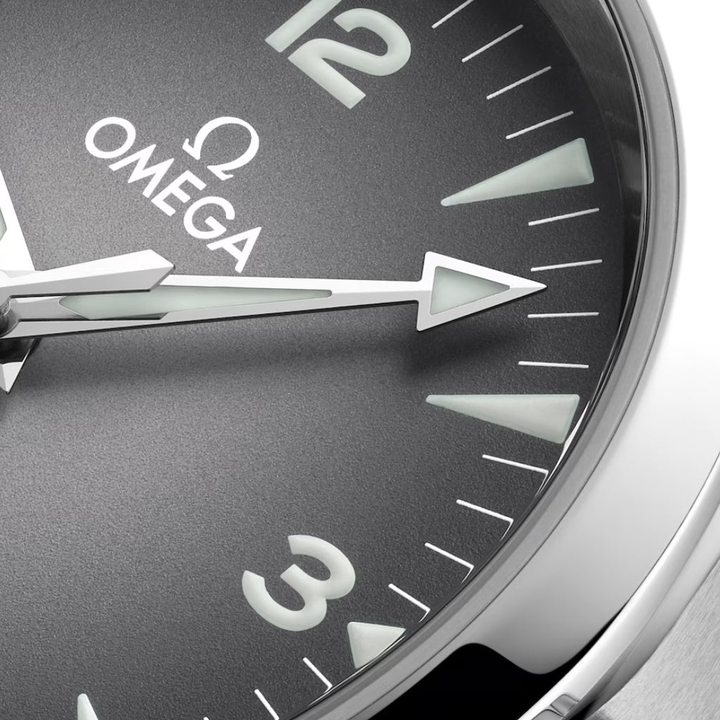 Seamaster Railmaster