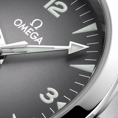 Seamaster Railmaster