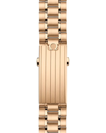 Speedmaster Moonwatch Professional
