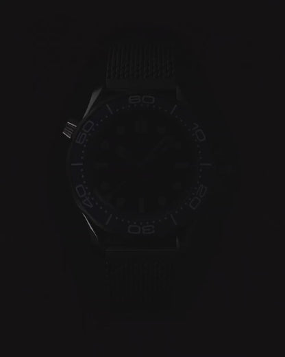 Seamaster Diver 300M